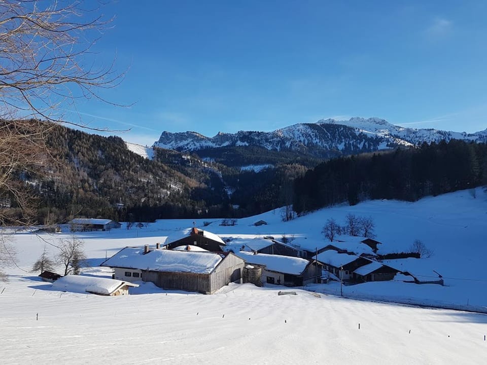Winter