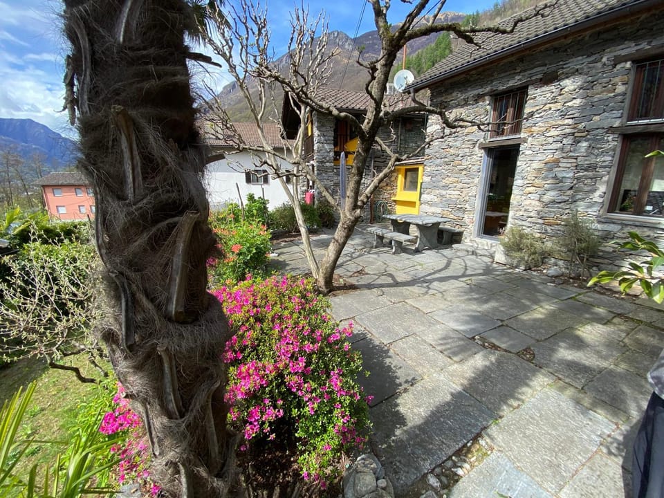 Property building, Garden view