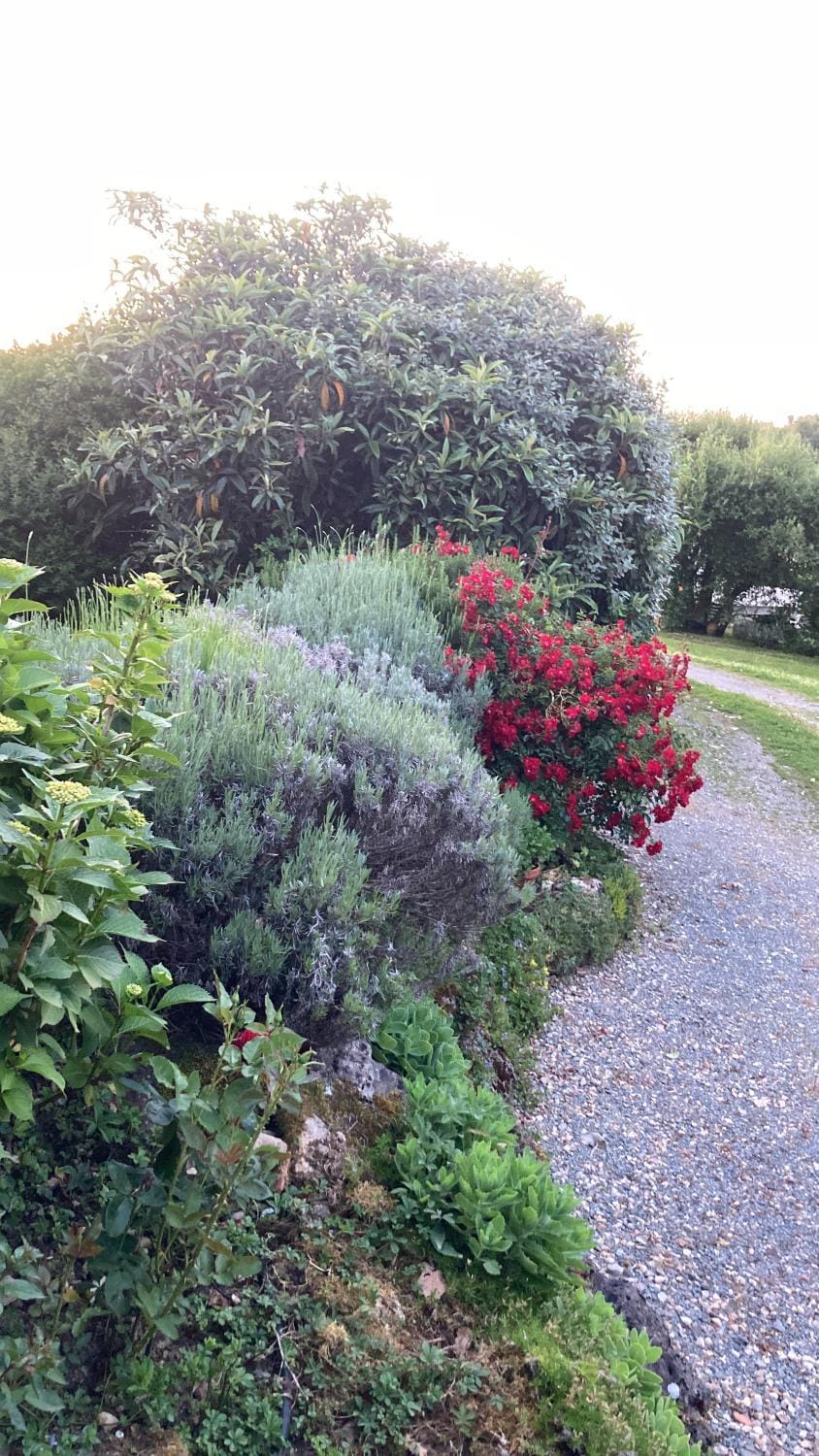 Au Bras d'Argent Bed and Breakfast in Nouvelle-Aquitaine