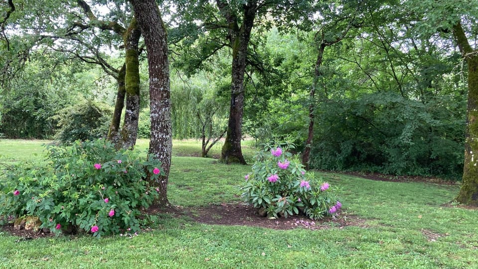 Au Bras d'Argent Bed and Breakfast in Nouvelle-Aquitaine