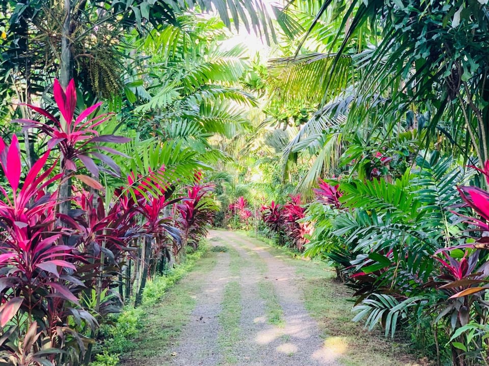 New Holiday Reach Bed and Breakfast in Southern Province