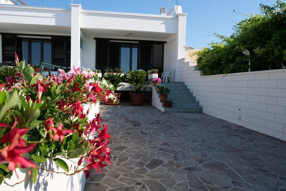 Property building, Patio, Facade/entrance, Garden