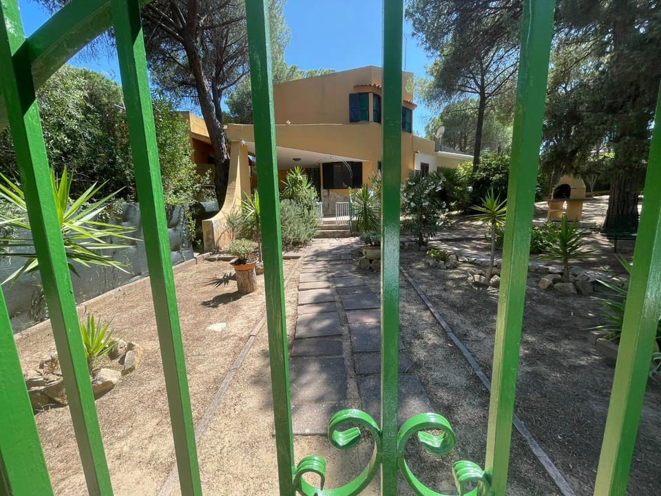 Day, Garden, Garden view