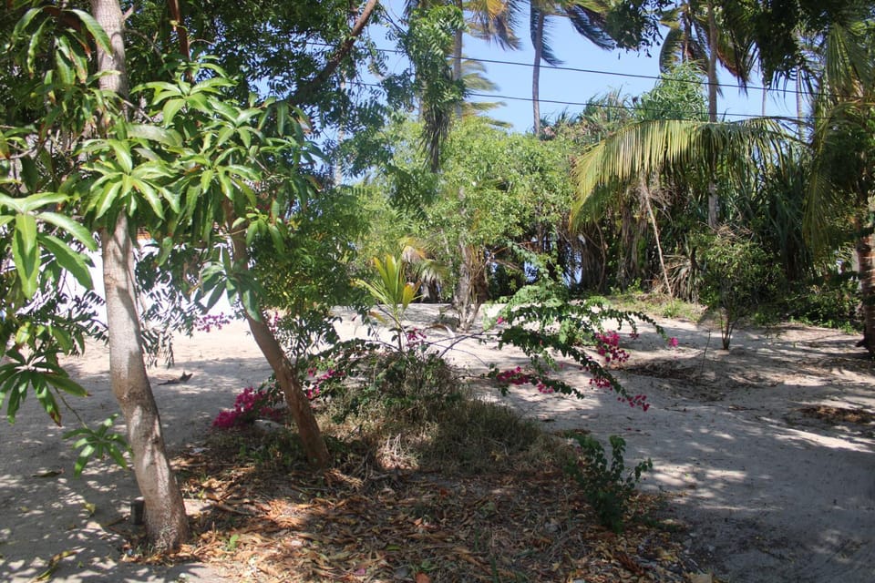 Inner courtyard view