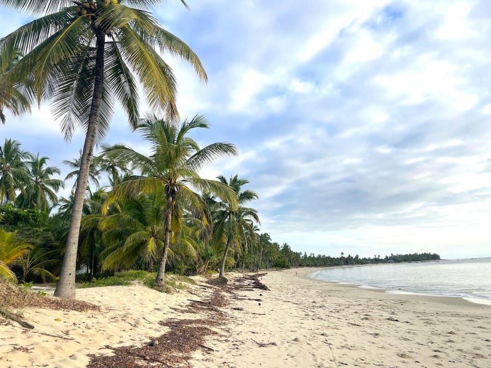 Sea view