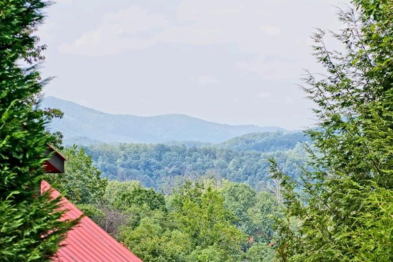 Mountain Mist Chalet in Sevier County