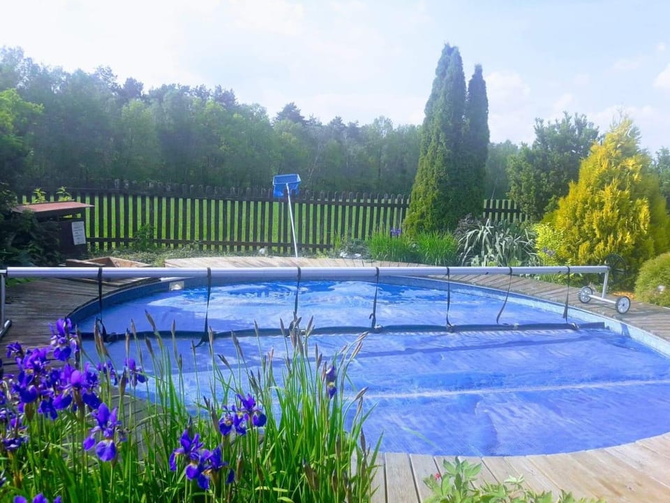 Pool view, Swimming pool, Swimming pool