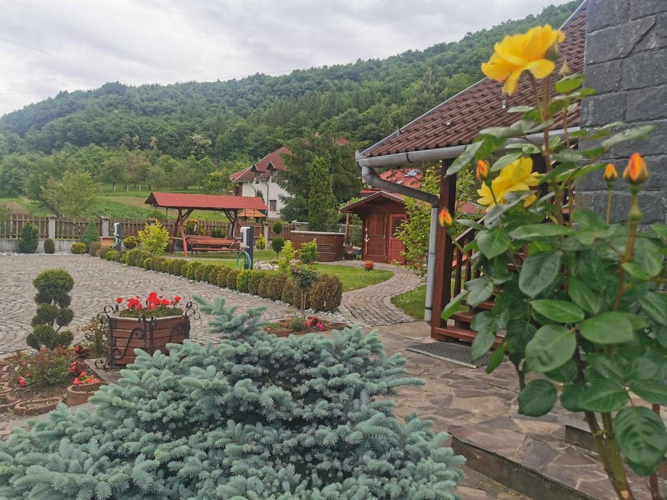 OLIMPIA VILLA Villa in Romania