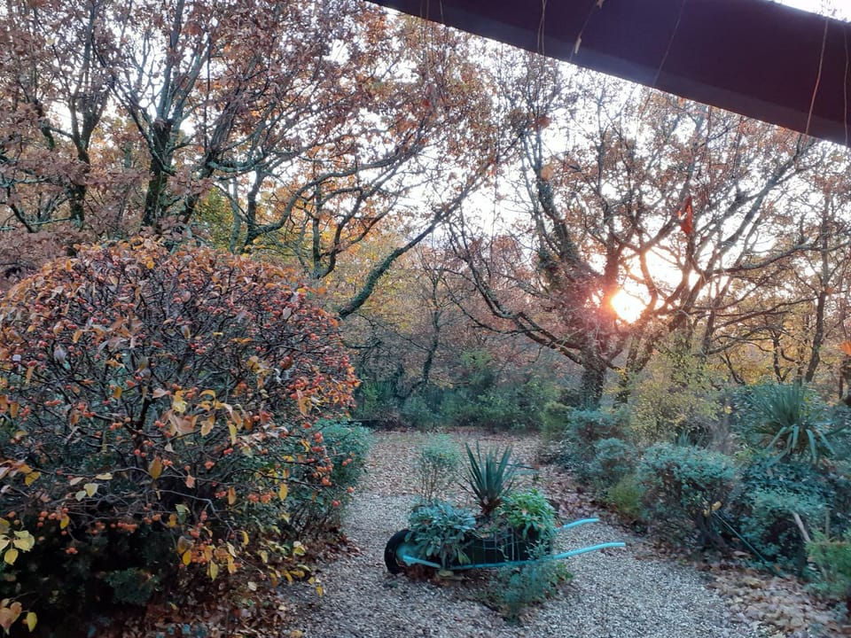 La Bergerie Bed and Breakfast in Occitanie