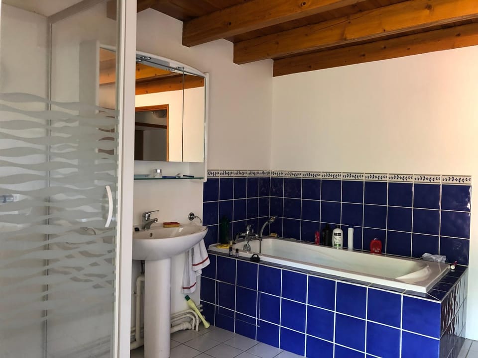 Large 100 year old house in lovely walking area House in Auvergne-Rhône-Alpes