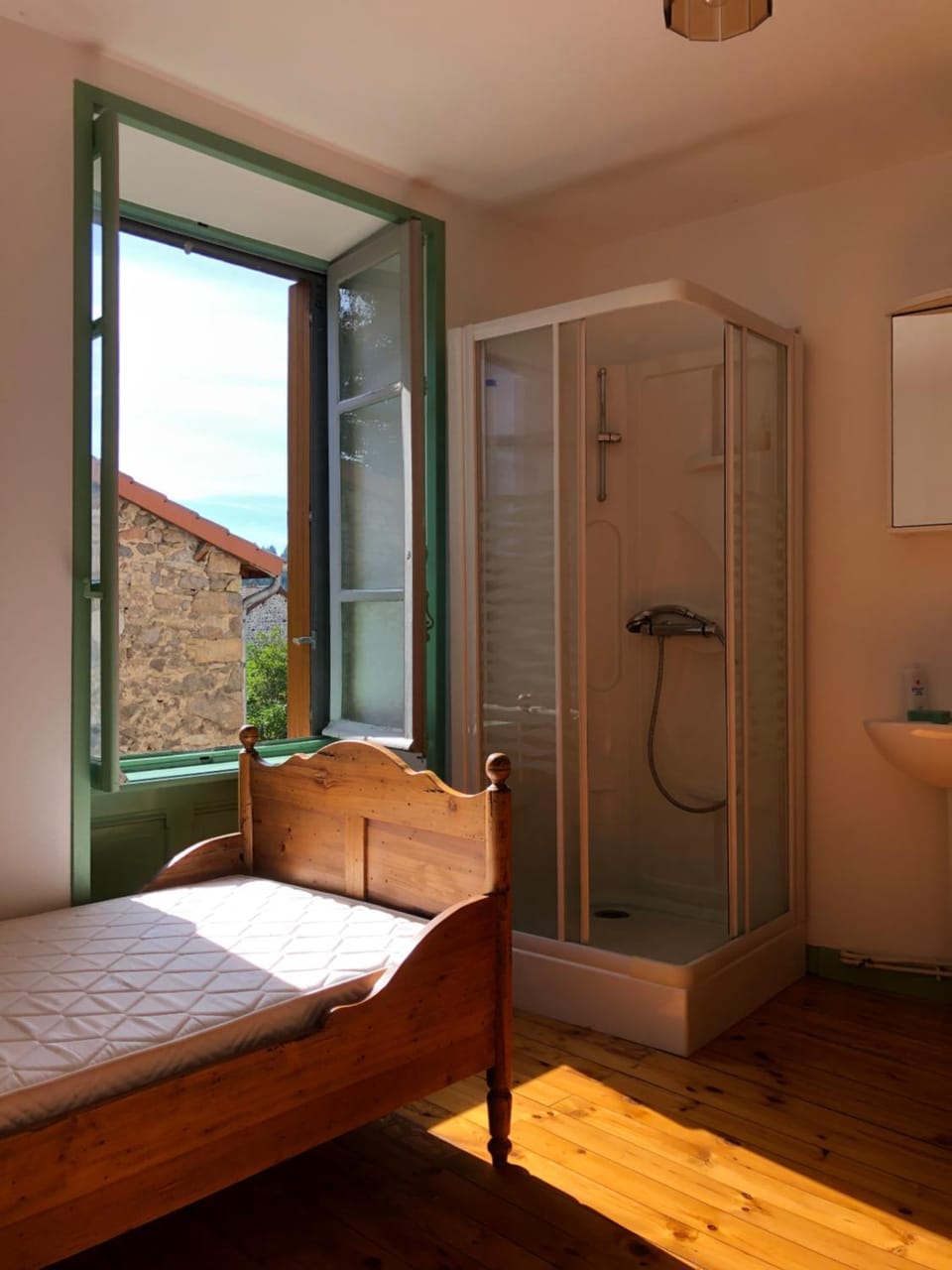 Large 100 year old house in lovely walking area House in Auvergne-Rhône-Alpes