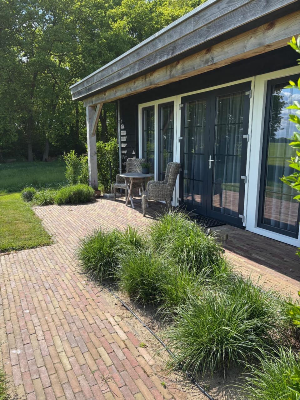 Property building, Day, Garden