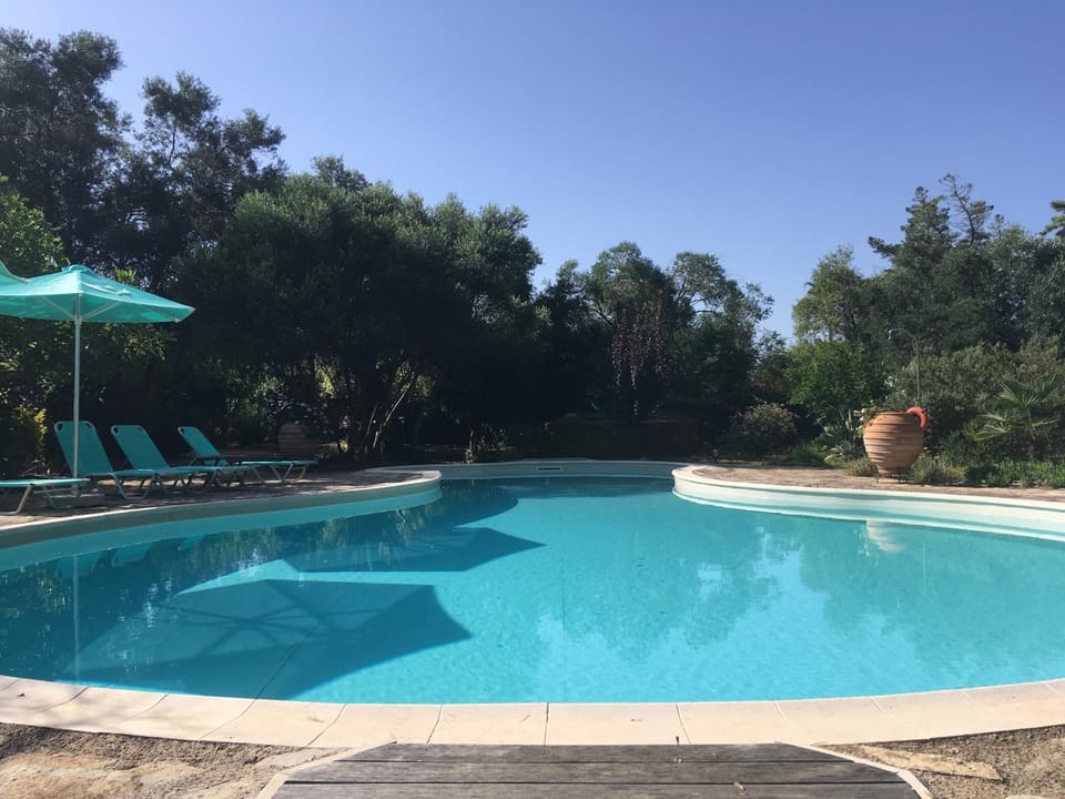 Swimming pool, sunbed