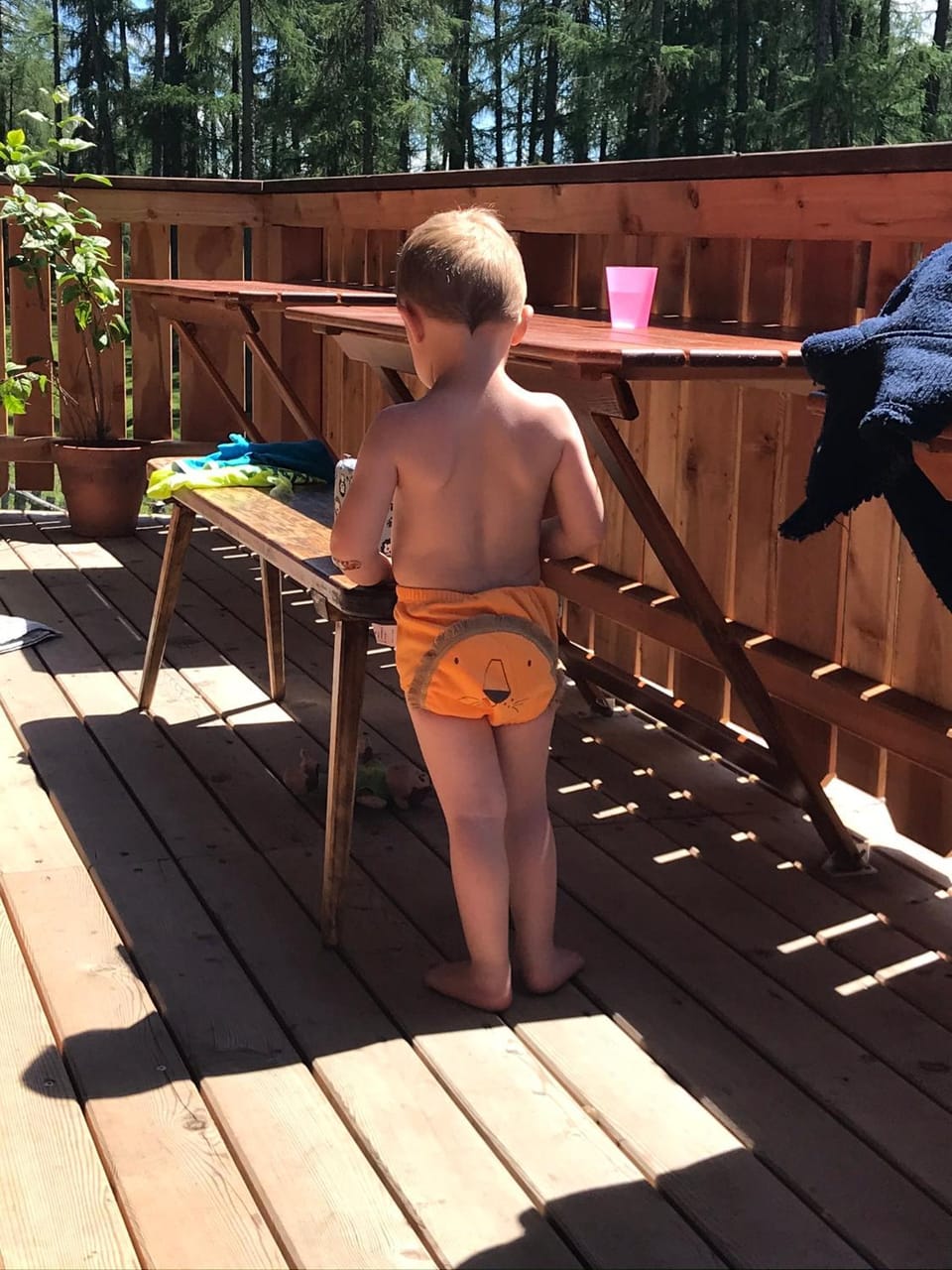 Ferienhütte Ortnerkasa Country House in Carinthia, Austria