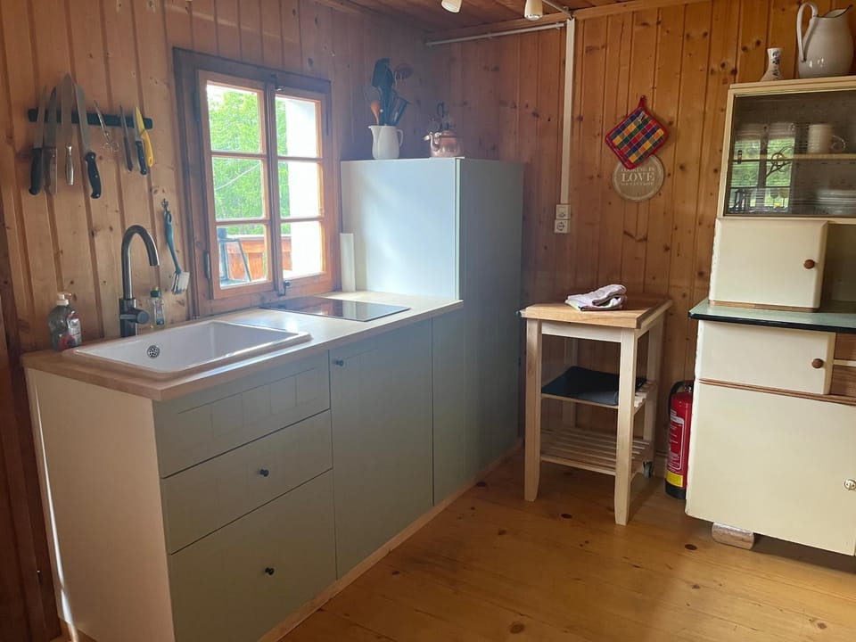 Ferienhütte Ortnerkasa Country House in Carinthia, Austria