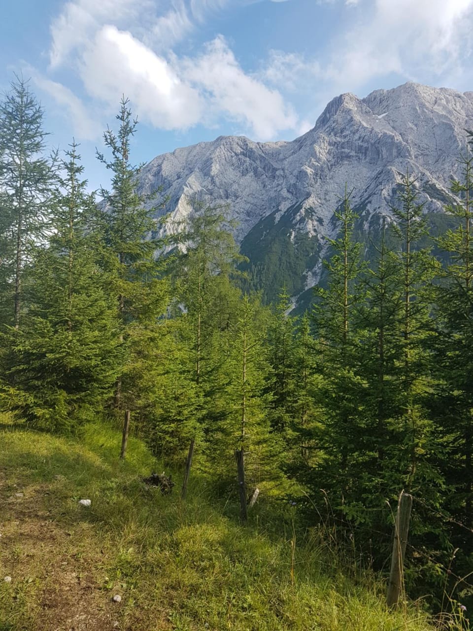 Hiking