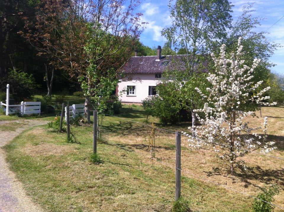 Property building, Activities, Garden