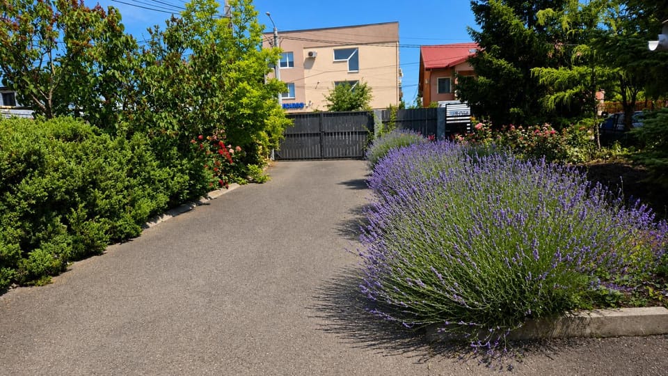 Patio, Garden, Garden, Garden view, Inner courtyard view