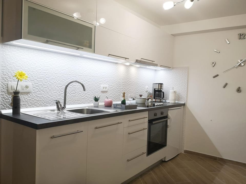 Kitchen or kitchenette, dishwasher, oven, stove