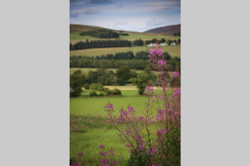 Isla Pod, Kilry eco pods Apartment in Scotland