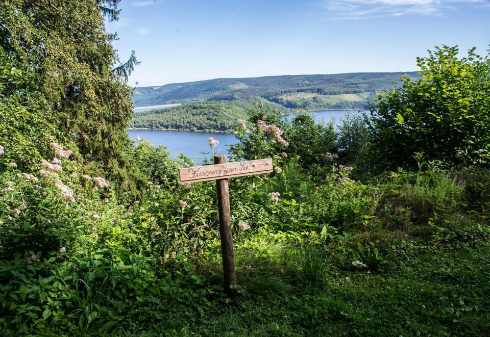 Day, Natural landscape, Lake view