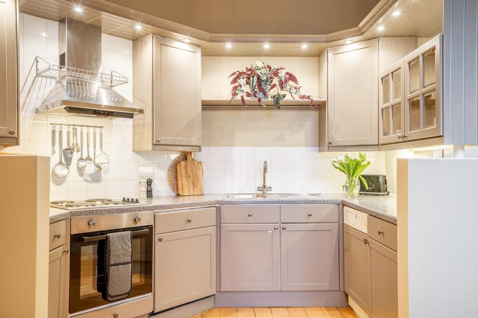 oven, stove, kitchen
