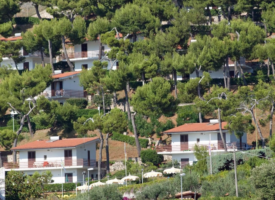 Neighbourhood