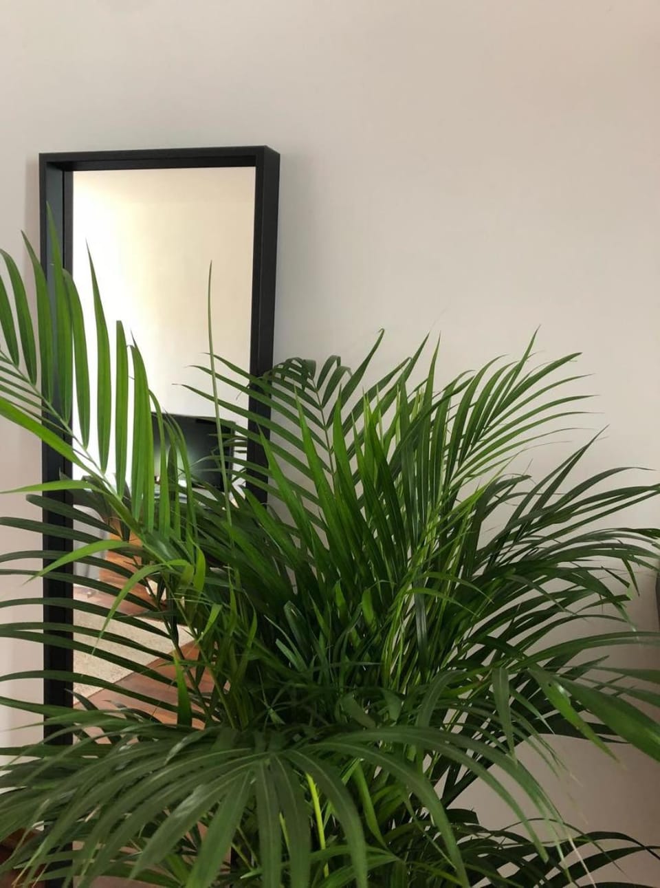 Casa vacanze Giorgetta n 4 Open Space Apartment in Chioggia