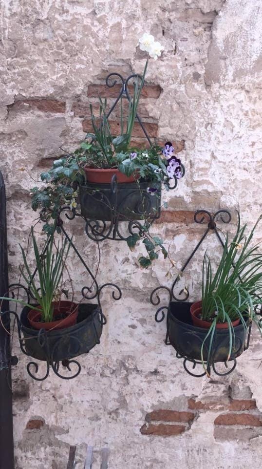 Casa vacanze Giorgetta n 4 Open Space Apartment in Chioggia