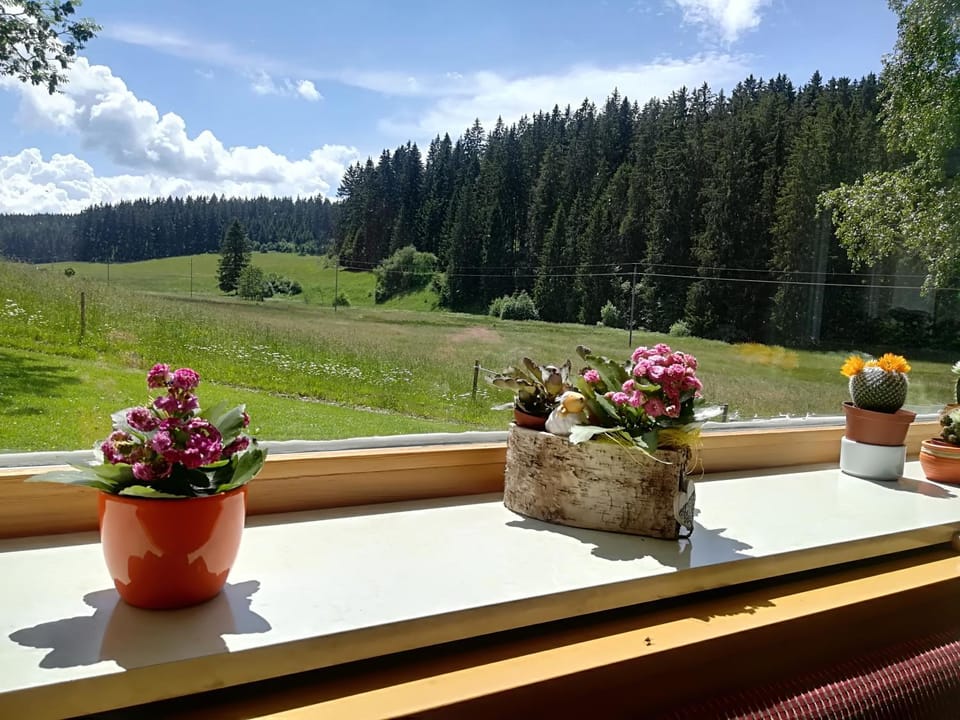 Natural landscape, View (from property/room)
