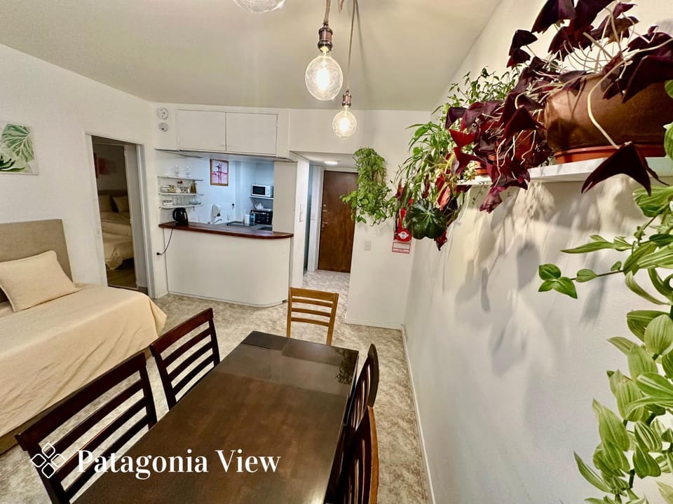Living room, kitchen