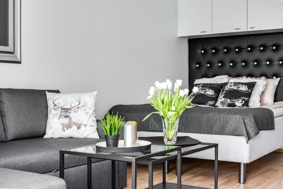 Trendy Homes Oulu Apartments Apartment in Finland