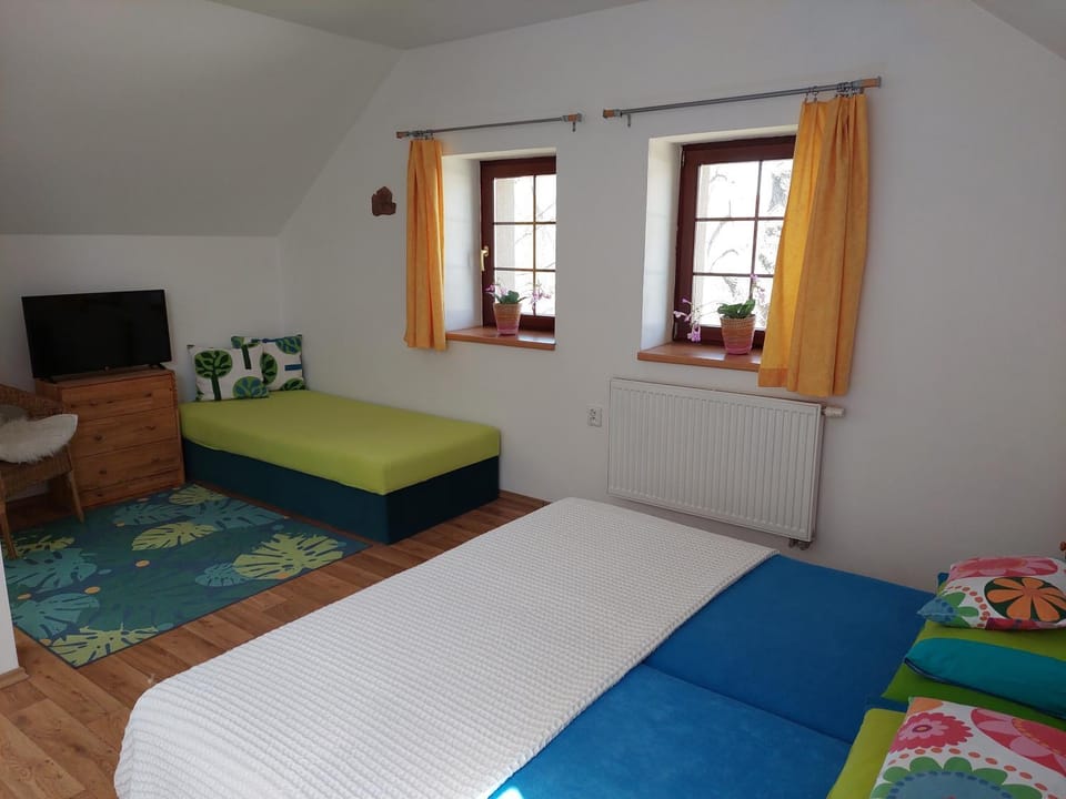 Penzion U Kováře Bed and Breakfast in Czechia