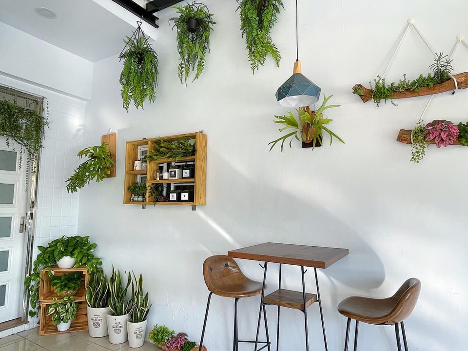 Pomelo Homestay Vacation rental in Fujian