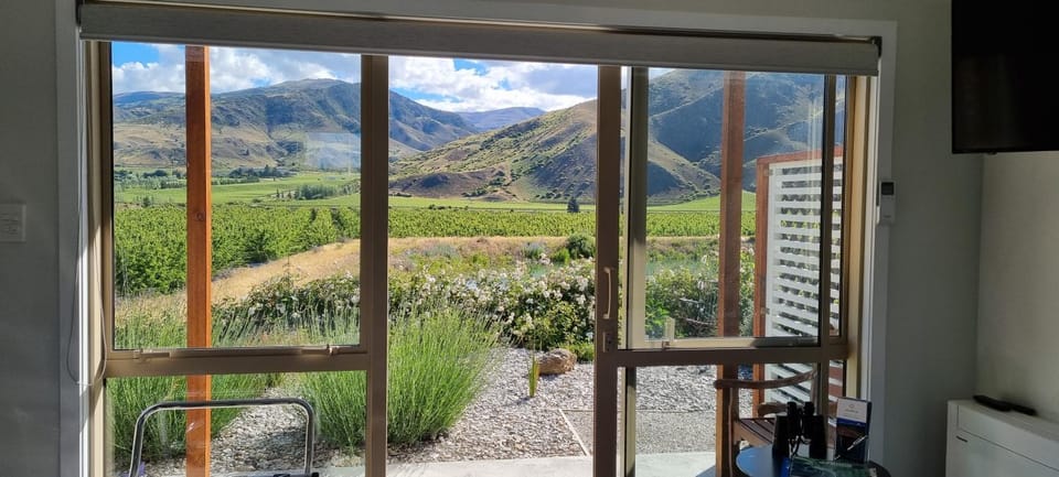 Lodges On Pearson Unit 1 Apartment in Otago