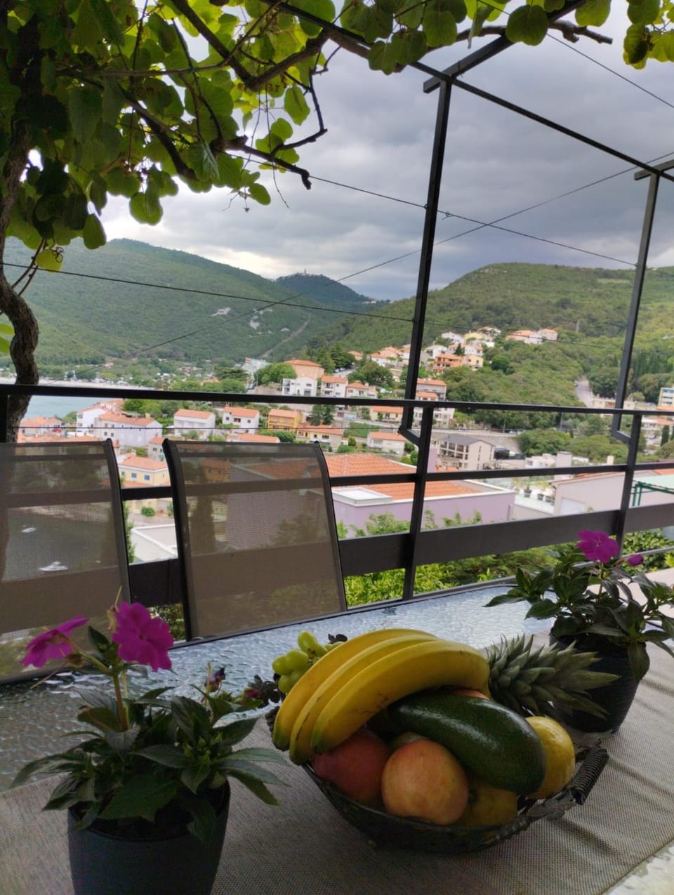 View (from property/room)