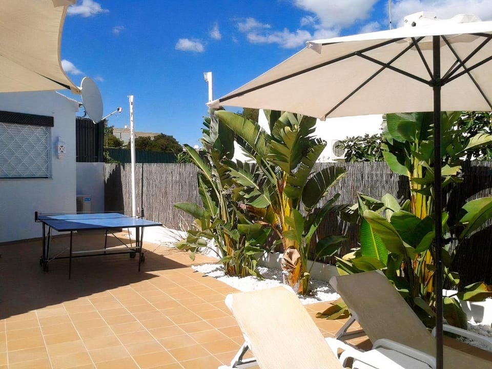 Patio, Summer