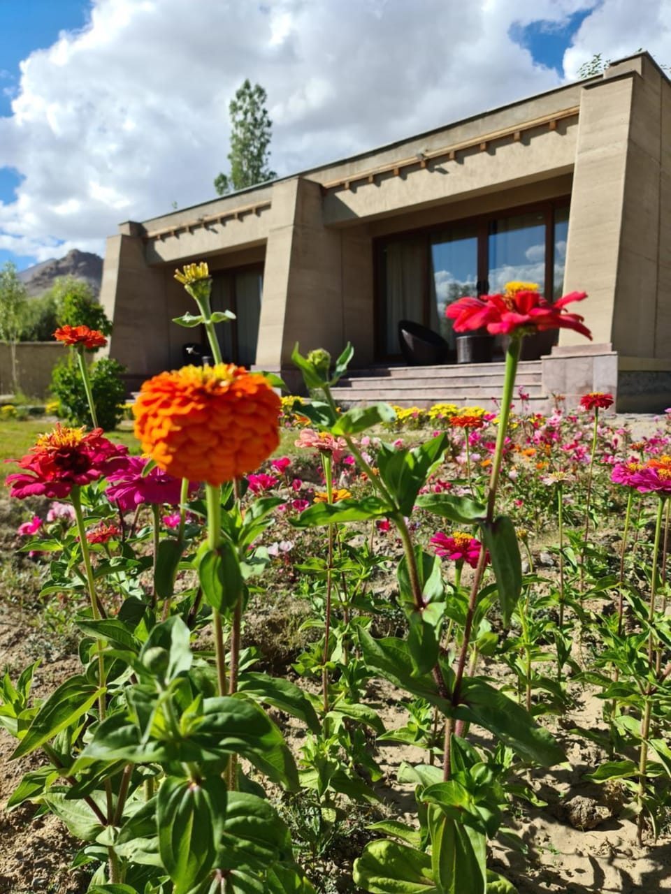 Property building, Spring, Day, Garden, Garden view