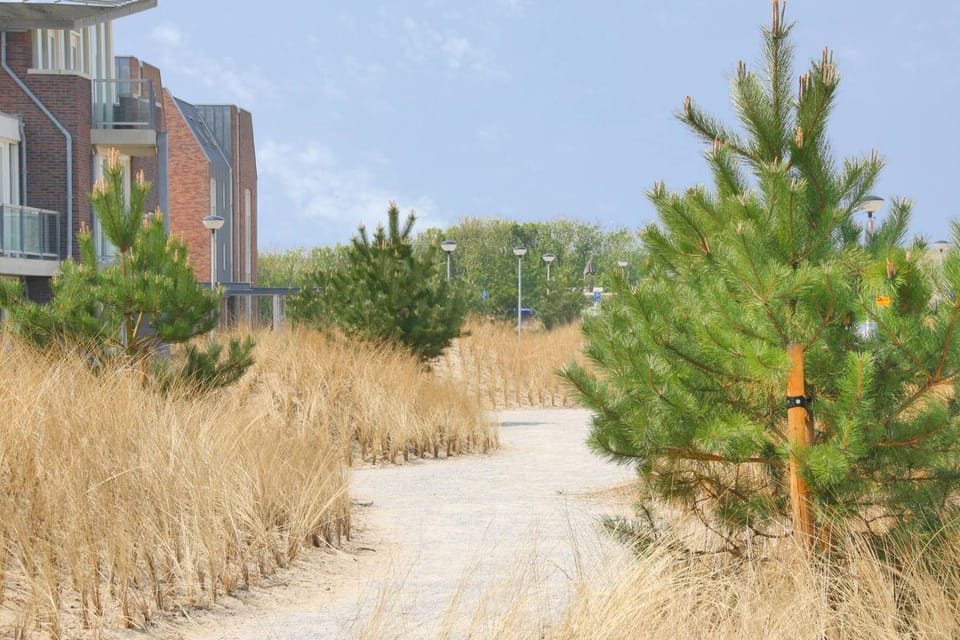 Duinerei Groote Keeten Apartment in Callantsoog