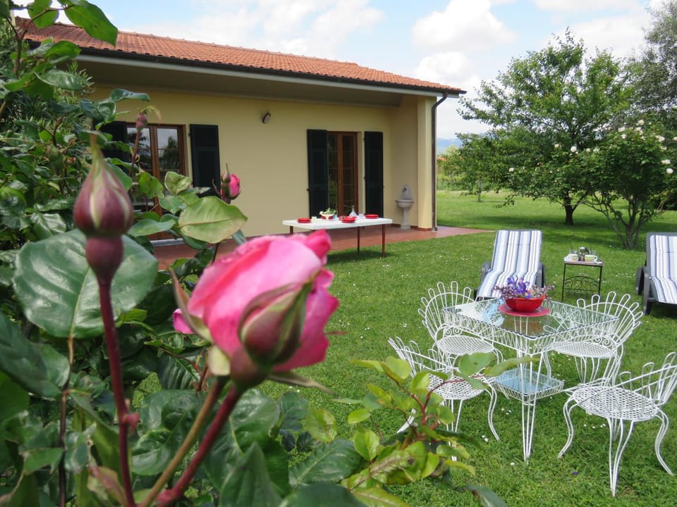 Property building, Garden