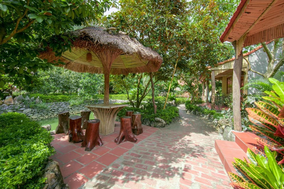 Property building, Garden, Garden view
