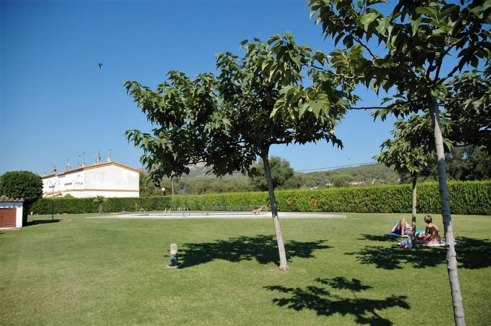 Patio, Garden, Garden view