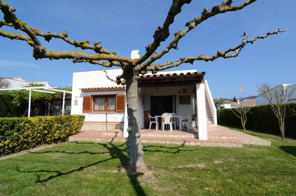 Patio, Garden, Garden view