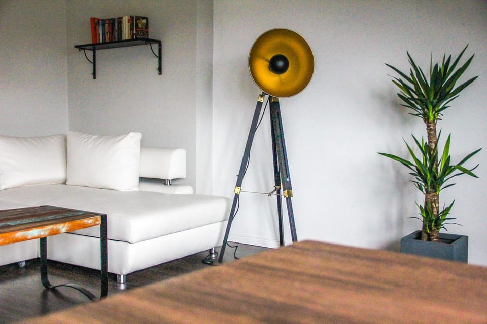 Library, Living room, Seating area