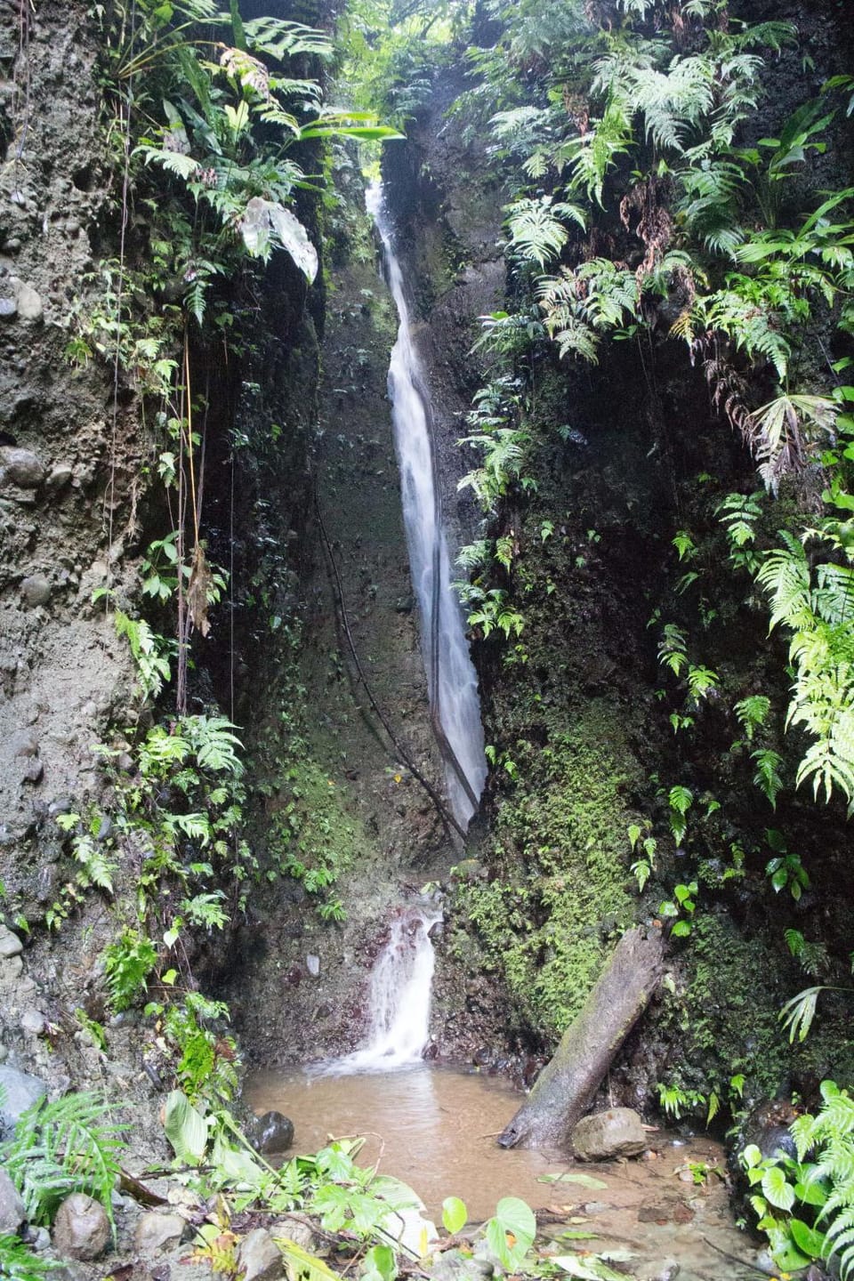 Natural landscape
