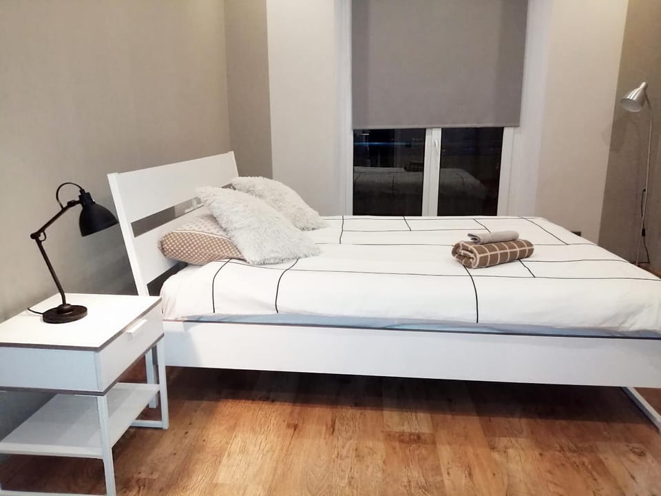 Vienibas 11 Apartment in Lithuania