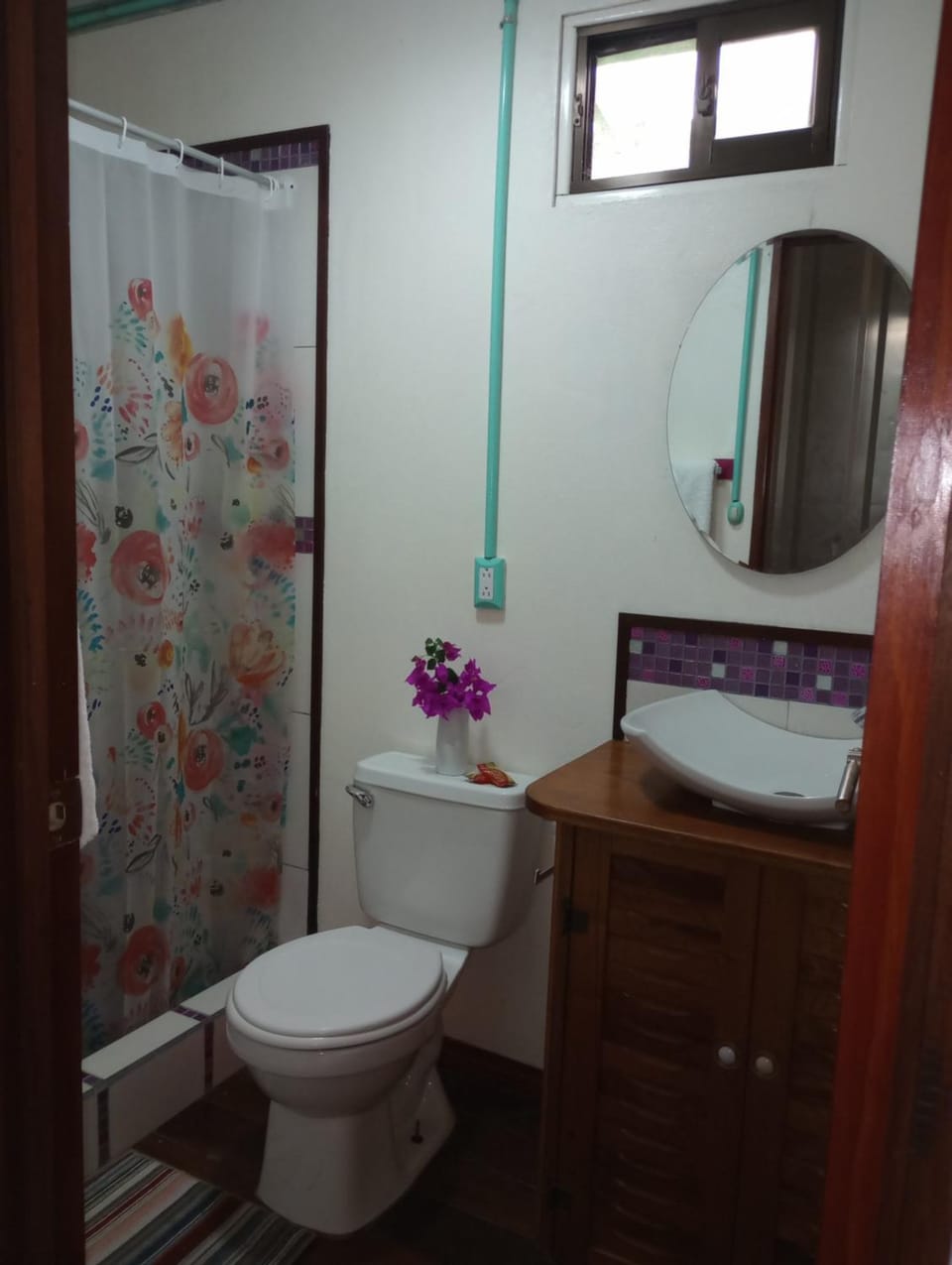 Container House Cahuita Bed and Breakfast in Cahuita