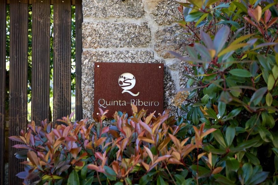 Day, Garden, Garden view