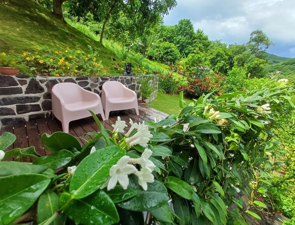 Garden, Solarium