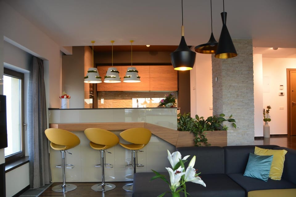 Kitchen or kitchenette, Living room, Lounge or bar, Dining area